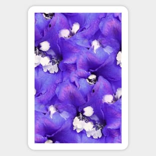 Delphinium Delight Sticker